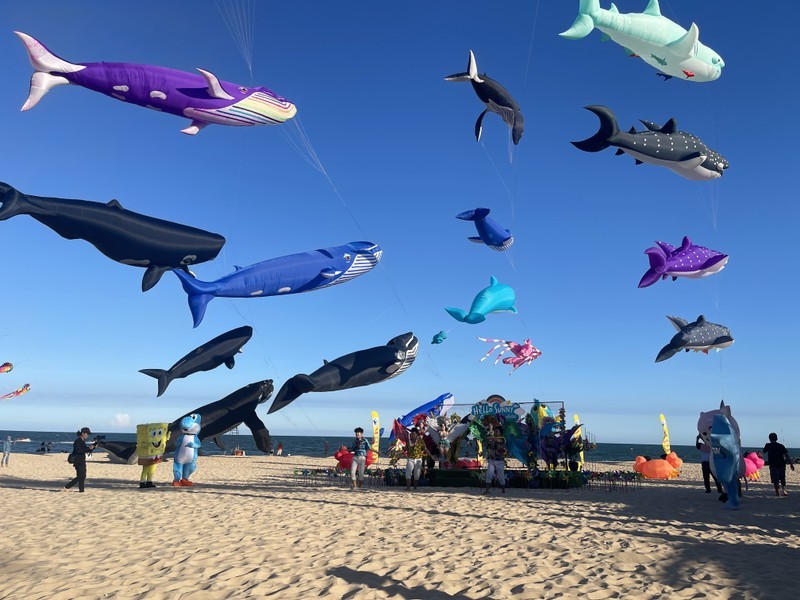 Kite-flying festival draws crowds in Binh Thuan