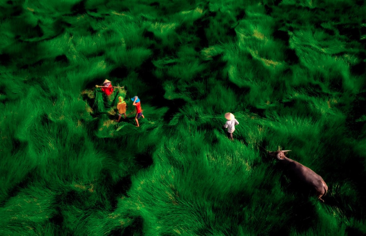 Photos of Vietnamese landscapes honoured at 35AWARDS Photography Award