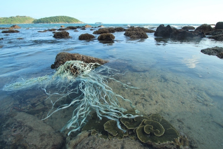 Hơn 7.000 ảnh tham dự giải Ô nhiễm trắng và những tác động đến hệ sinh thái biển