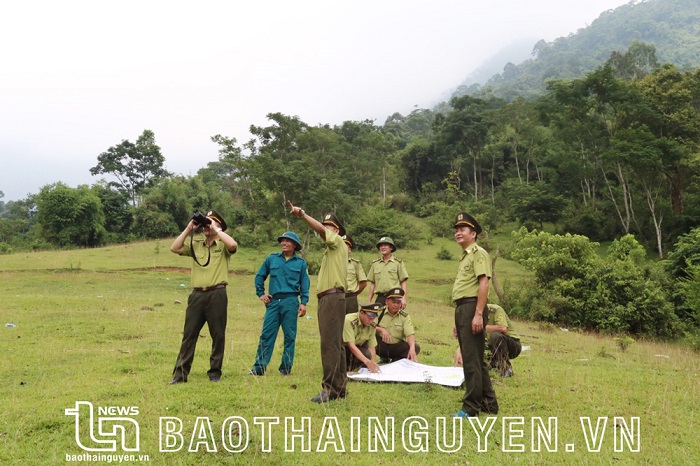 Thái Nguyên: Giữ rừng để bảo vệ nguồn nước hồ Núi Cốc