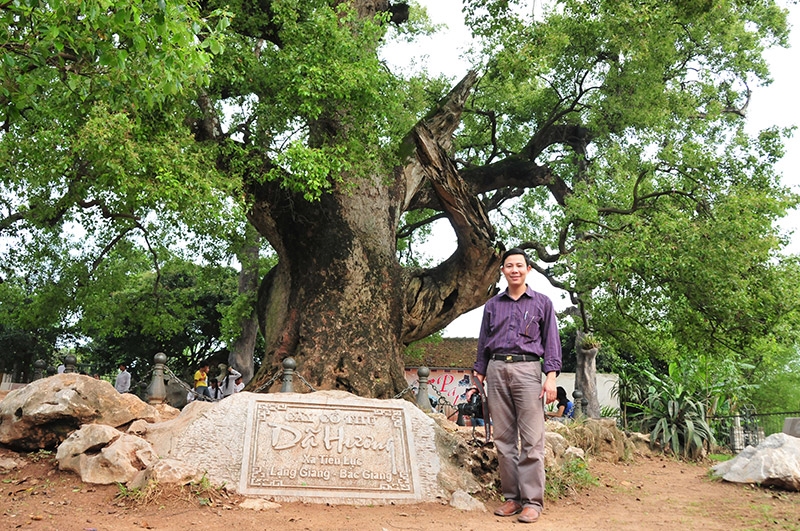 Cây Dã Hương hơn 1000 năm tuổi - điểm đến hấp dẫn ở Bắc Giang