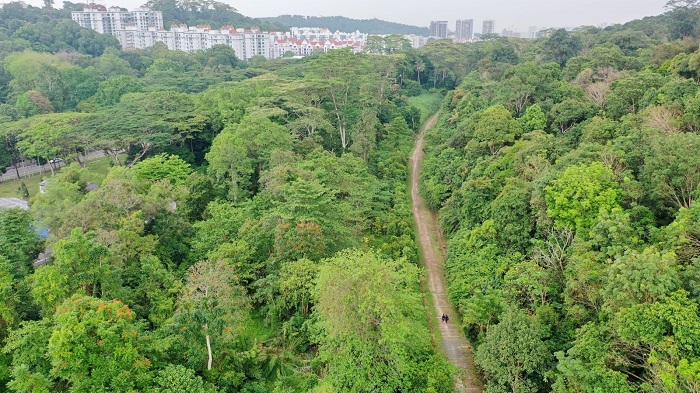 Thiên nhiên hoang dã hồi sinh giữa trung tâm Singapore