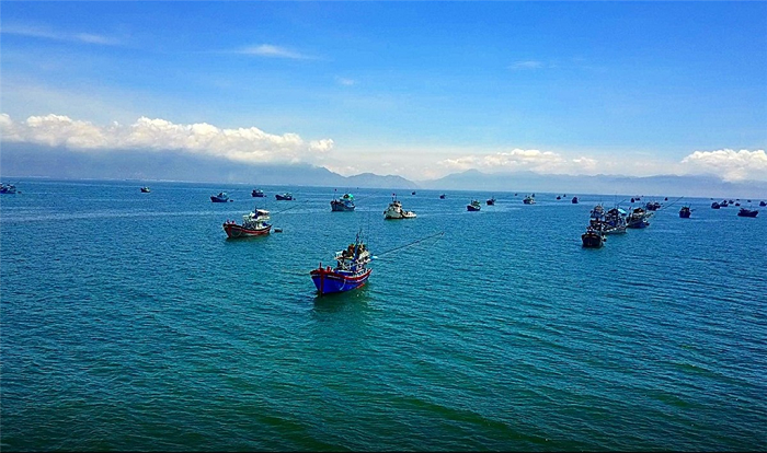 Bình Thuận: Bảo vệ và phát triển đa dạng sinh học biển