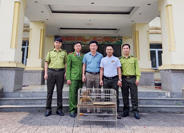 Hà Tĩnh: Thanh niên bỏ tiền mua khỉ vàng quý hiếm bàn giao cho vườn Quốc gia