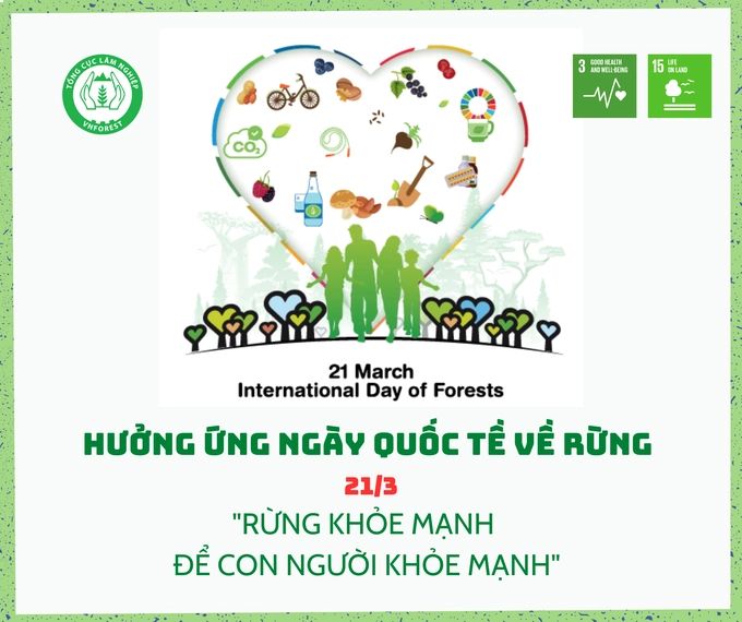Ngày quốc tế Rừng 21/3/2023 có chủ đề "Rừng và Sức khỏe" với thông điệp “Rừng khỏe mạnh để con người khỏe mạnh”
