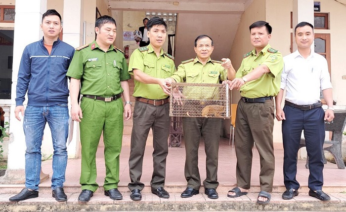 Hà Tĩnh: Người dân giao cho Vườn quốc gia Vũ Quang con cu li quý hiếm