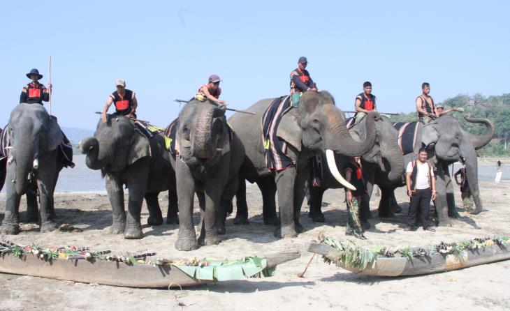 Du lịch thân thiện với voi - Hướng đi nhân văn