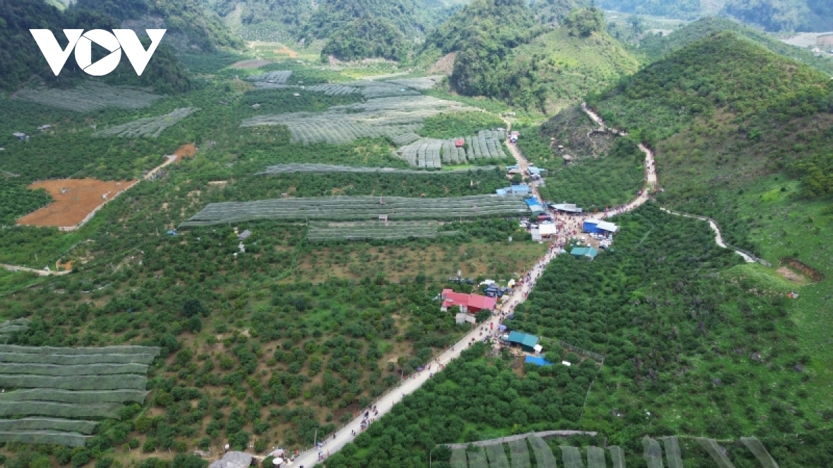 Sơn La: Mộc Châu hướng tới đô thị xanh, trọng điểm du lịch quốc gia