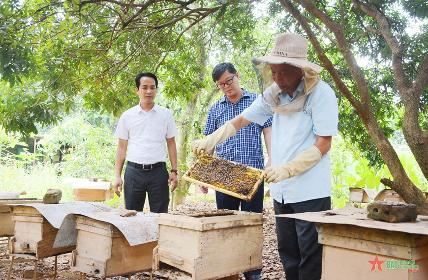 Mô hình nuôi ong phục vụ du lịch trải nghiệm