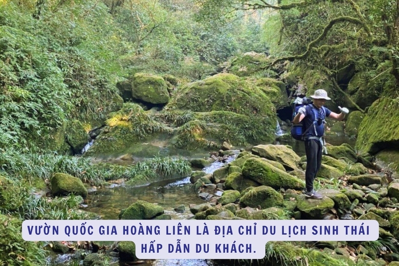 Lào Cai: Vườn Quốc gia Hoàng Liên - Phát triển du lịch sinh thái bền vững
