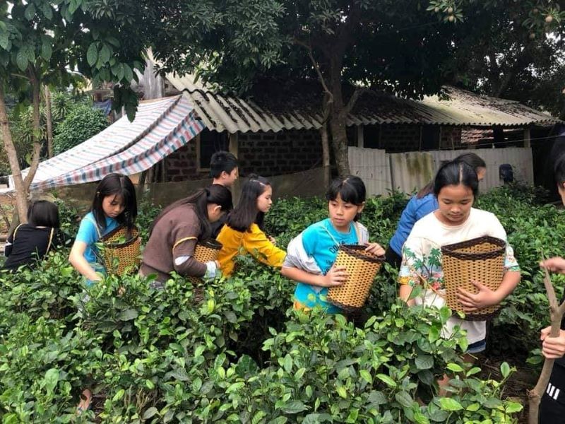 Hà Nội: Hỗ trợ các địa phương phát triển sản phẩm du lịch nông nghiệp, nông thôn