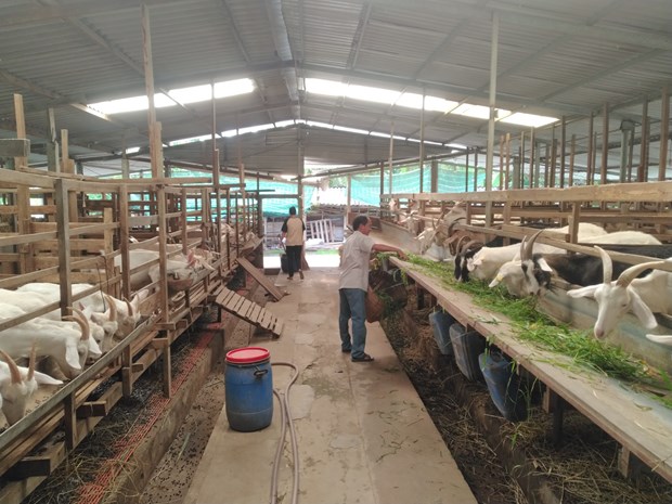 Du lịch nông nghiệp Tiền Giang hấp dẫn du khách