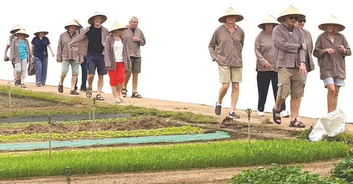Quảng Nam: Nỗ lực định vị điểm đến xanh