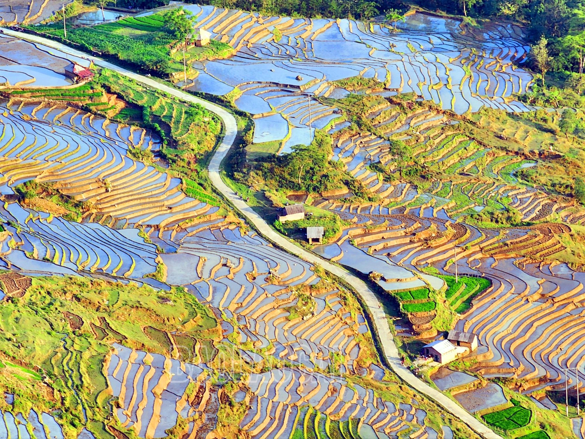 Bức họa đồ mùa nước đổ trên vùng cao Lào Cai