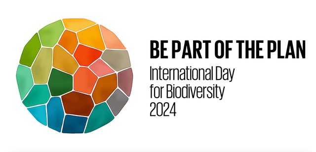 Quảng Nam: Tổ chức các hoạt động hưởng ứng Ngày Quốc tế đa dạng sinh học năm 2024