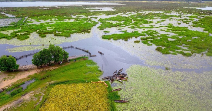 Quảng Nam: Xây dựng dự án thành lập Khu bảo tồn đất ngập nước hồ Sông Đầm