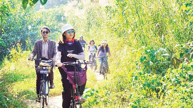 Hà Nội: Hài hòa khai thác giá trị và bảo vệ môi trường bãi nổi sông Hồng