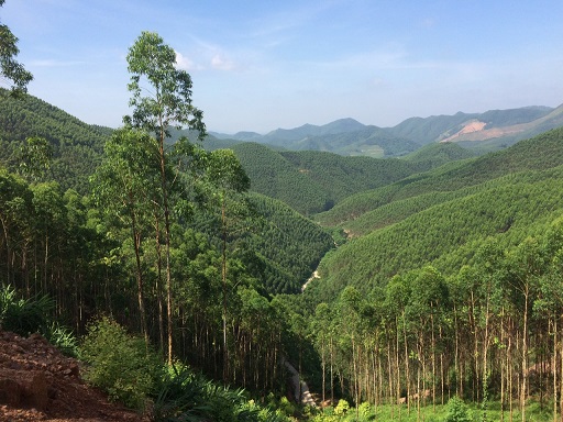 Bắc Giang: Nâng cao giá trị đa dụng của hệ sinh thái rừng