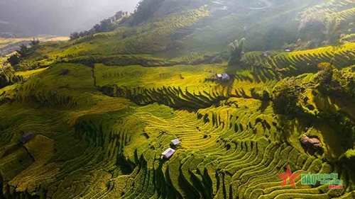 Lao Cai: Beauty of Y Ty in ripe rice season