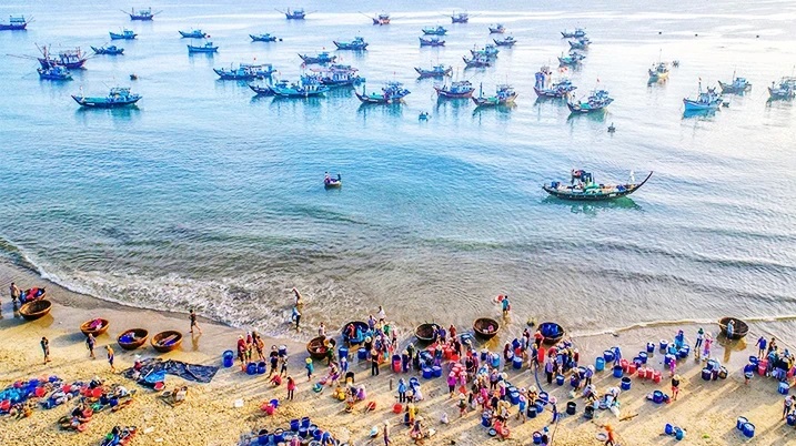 Visiting a fishing village to taste ocean flavours in Quang Nam