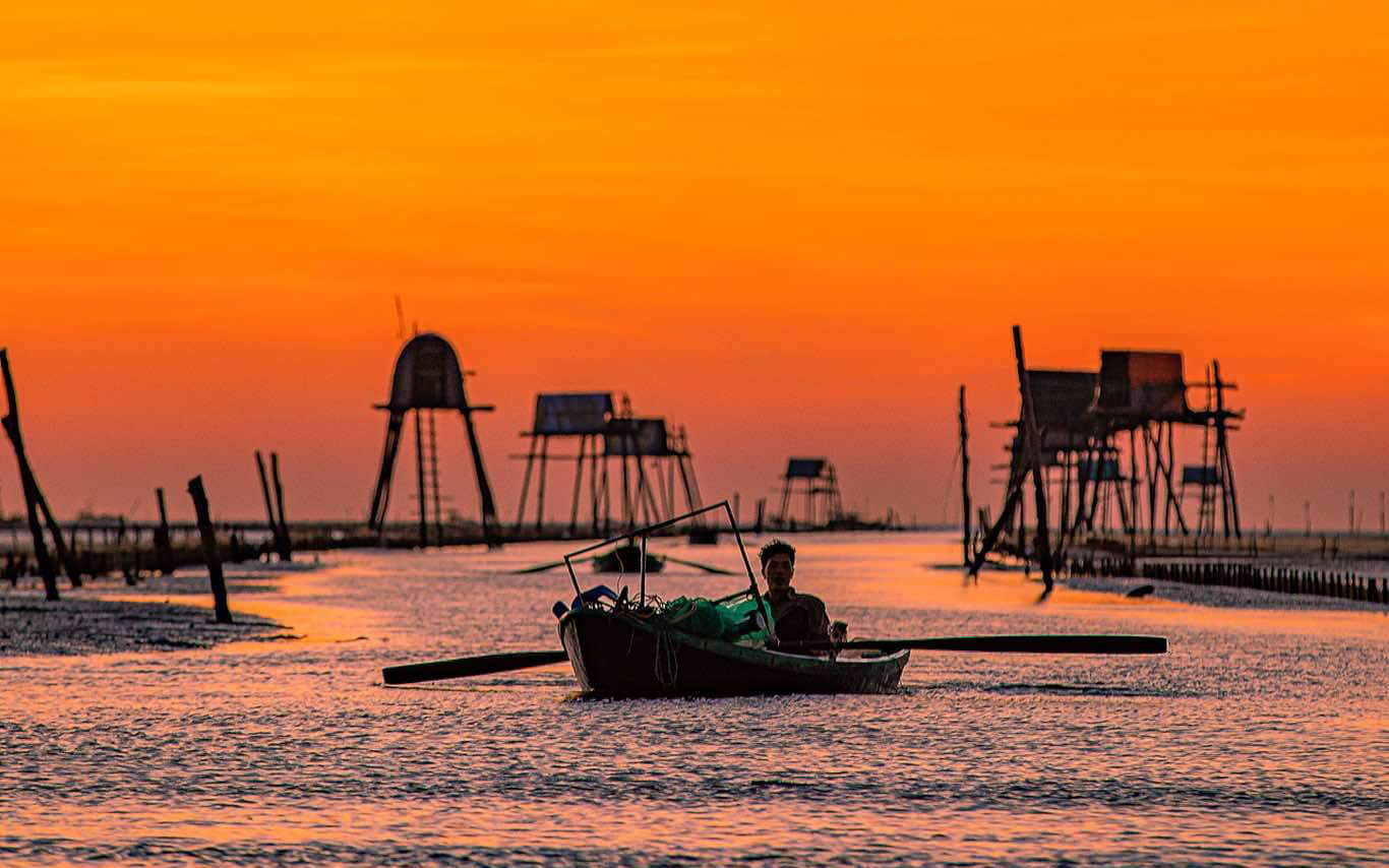 Sunrise views over clam fields in Thai Binh