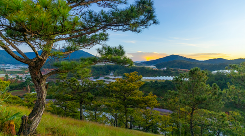 "Cloud hunting” in Da Lat (Lam Dong)