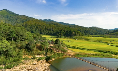 Beautiful terraced rice paddy fields in harvest season in Mang Den (Kon Tum)