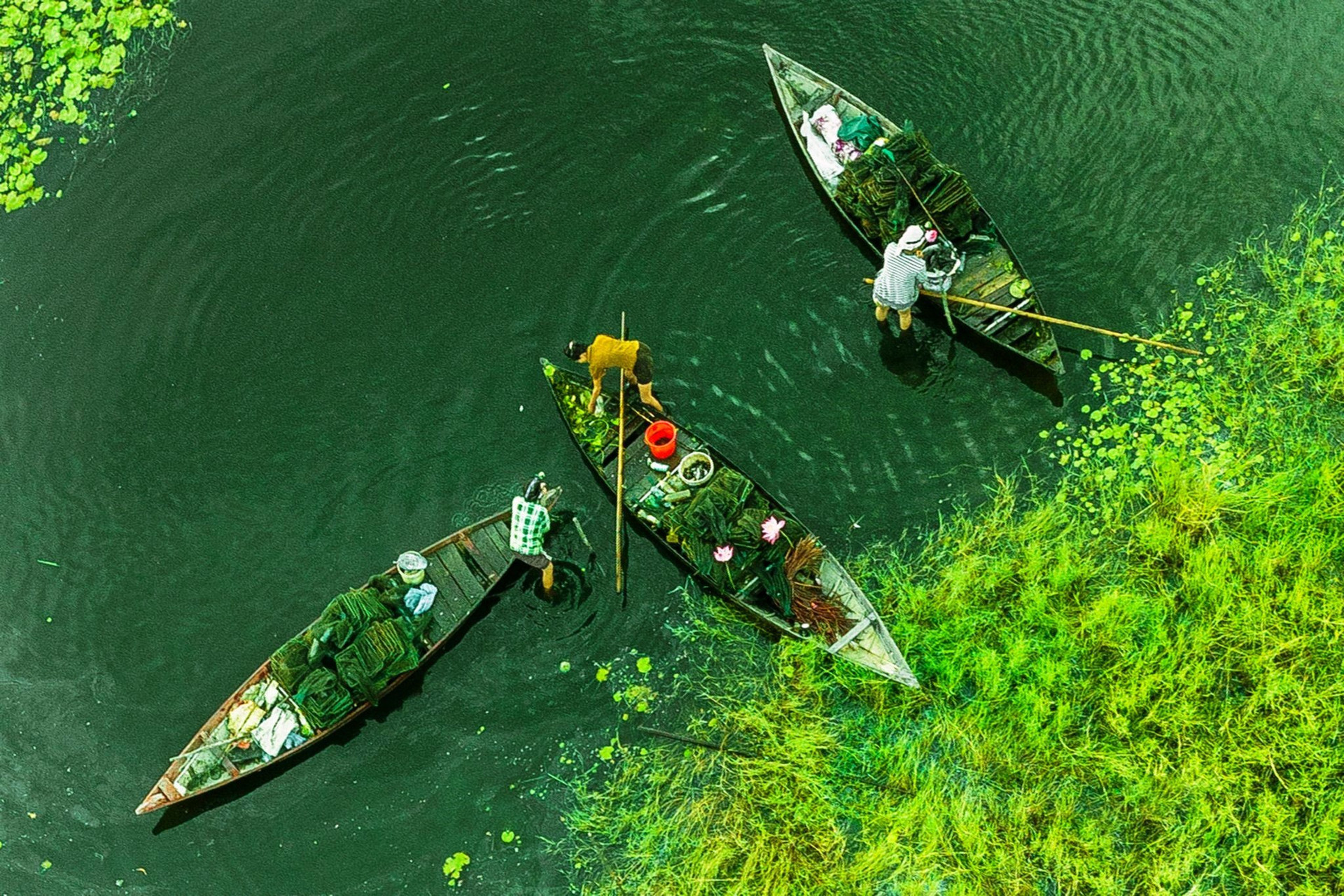Unique ecosystem of Dam River in Quang Nam