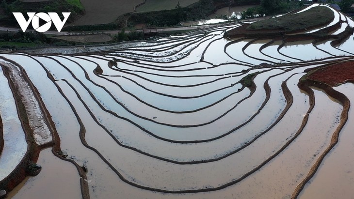 Mu Cang Chai: Spectacle of water pouring season
