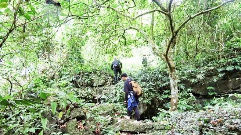 Biodiversity conservation at Than Sa - Phuong Hoang Nature Reserve (Thai Nguyen)