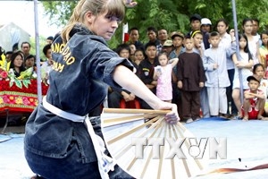 Int’l festival looks to encourage martial arts preservation - Môi ...
