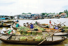 Hậu Giang: Hưởng ứng Ngày Môi trường thế giới