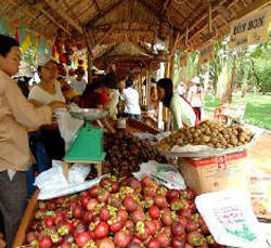 TP. Hồ Chí Minh: Khai mạc Lễ hội trái cây Nam Bộ năm 2009 