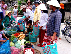 Để Cù lao Chàm xanh, sạch hơn