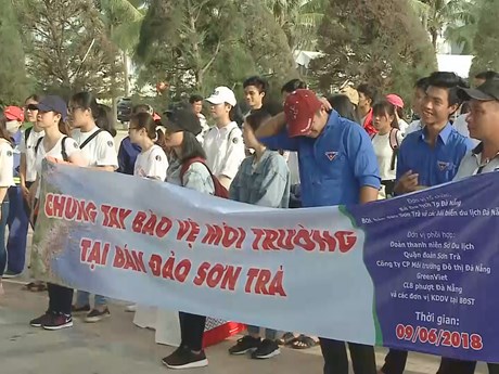 Youth in Da Nang join hands to clean Son Tra peninsula