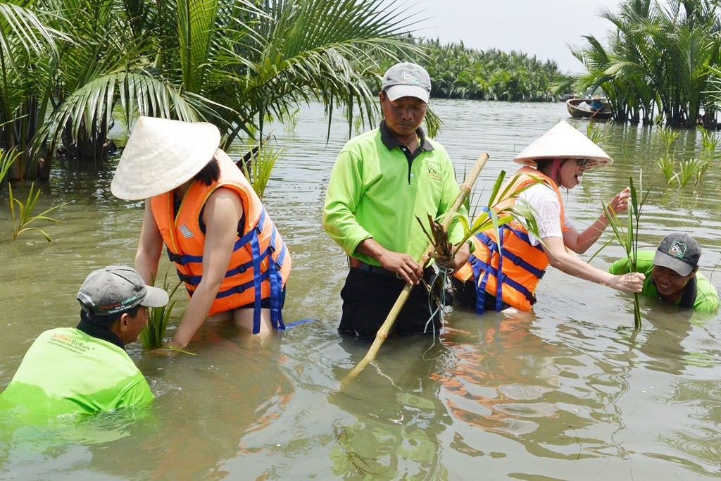 Quảng Nam: Đẩy mạnh phát triển du lịch sinh thái