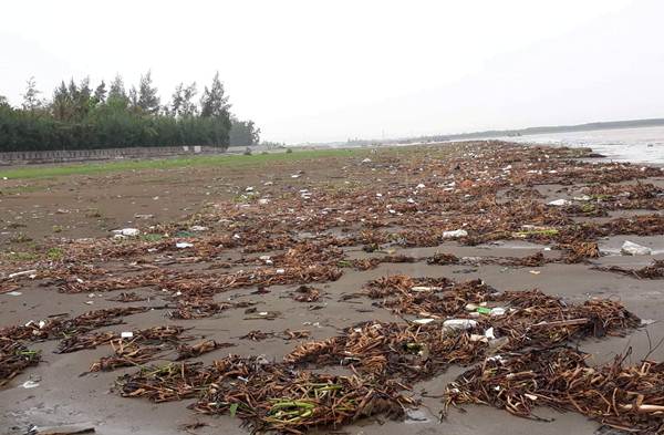 Nghệ An: Biển Diễn Thành tràn ngập rác