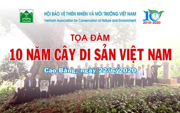 VACNE tổ chức Tọa đàm 10 năm Sự kiện Bảo tổn Cây Di sản Việt Nam tại Cao Bằng