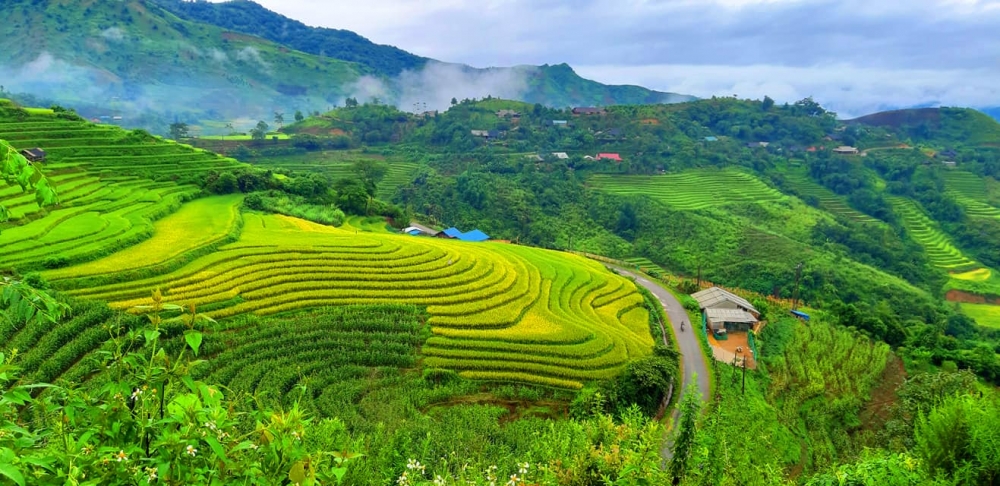 Sin Suối Hồ (Lai Châu): Từ “bản nghiện” vươn lên thoát nghèo nhờ làm du lịch, trồng địa lan, thảo quả