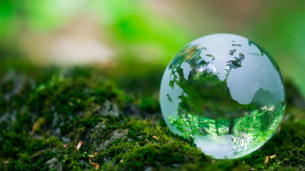 Ngày Trái Đất năm 2020: Bảo vệ hành tinh xanh, hành động vì khí hậu