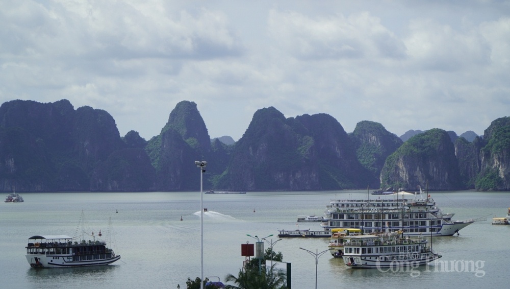 Quảng Ninh: Cần phát triển du lịch đi đôi với bảo tồn