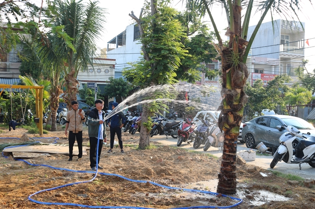 Đà Nẵng: Sơn Trà peninsula begins ‘One Million Trees Plantation’