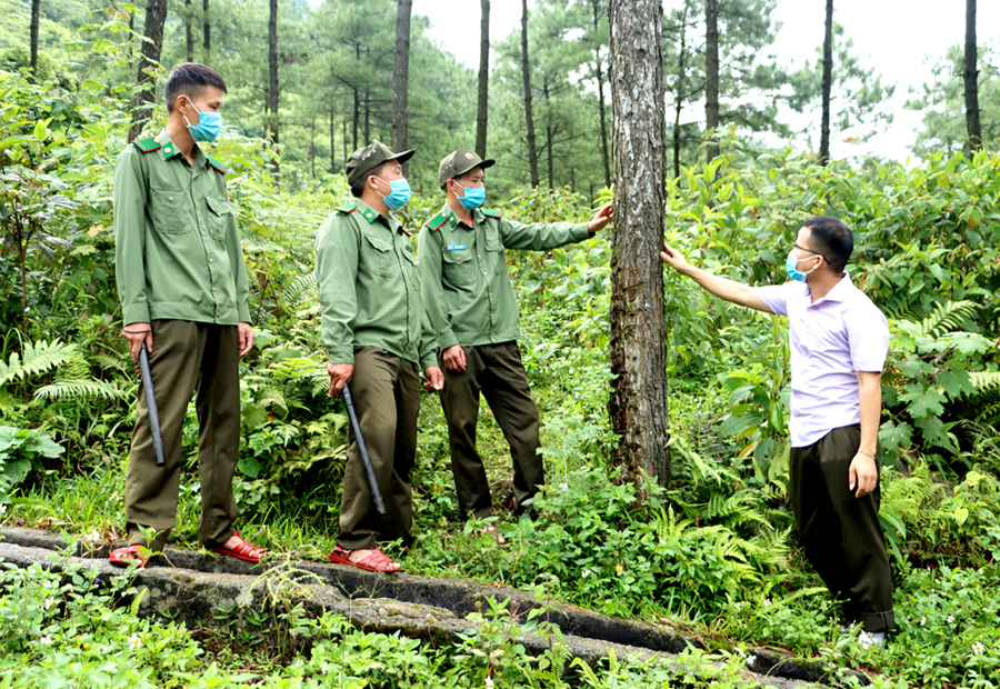 Hà Giang: Để Khu bảo tồn thiên nhiên Chí Sán thêm xanh