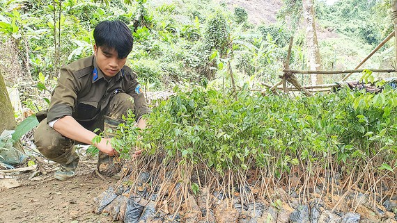 Quảng Nam: Giữ lá phổi xanh Trường Sơn