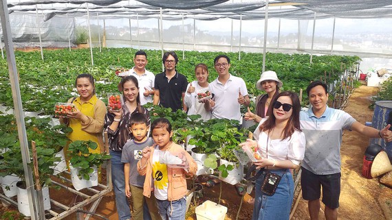 Fledgling agritourism in Lam Dong needs more support to take off