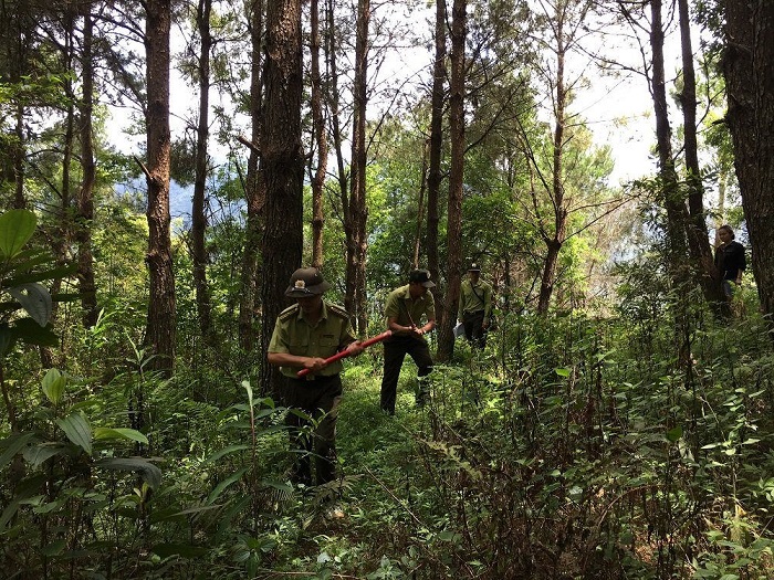 Những người giữ rừng gắn với bảo tồn đa dạng sinh học