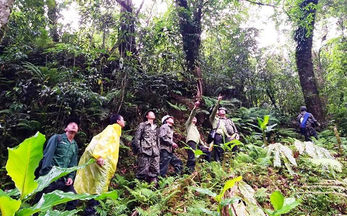 Lào Cai: Hiệu quả nguồn vốn dịch vụ môi trường rừng ở Khu bảo tồn thiên nhiên Bát Xát