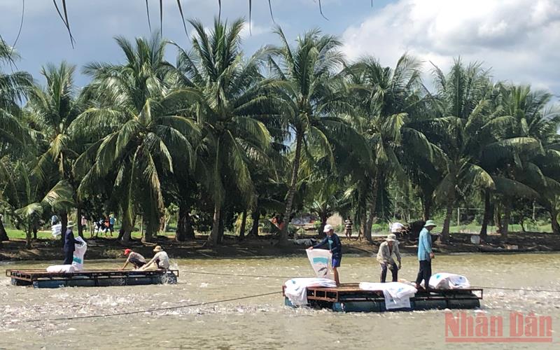 Bảo vệ môi trường và ứng phó với biến đổi khí hậu vùng Đồng bằng sông Cửu Long
