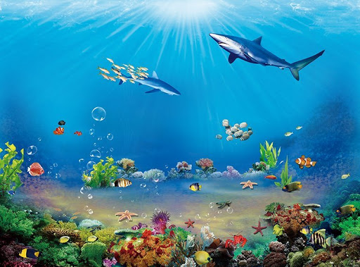 Đại dương: Sự sống và sinh kế