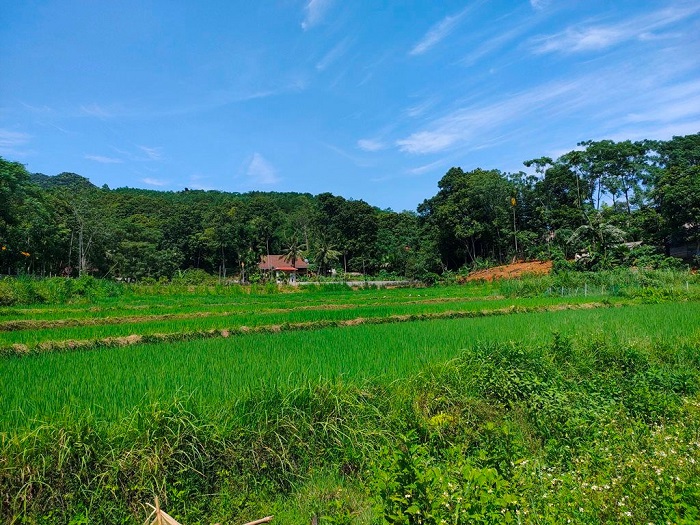 Huyện Quan Sơn (Thanh Hóa) phát triển nông nghiệp hữu cơ, kết hợp du lịch sinh thái